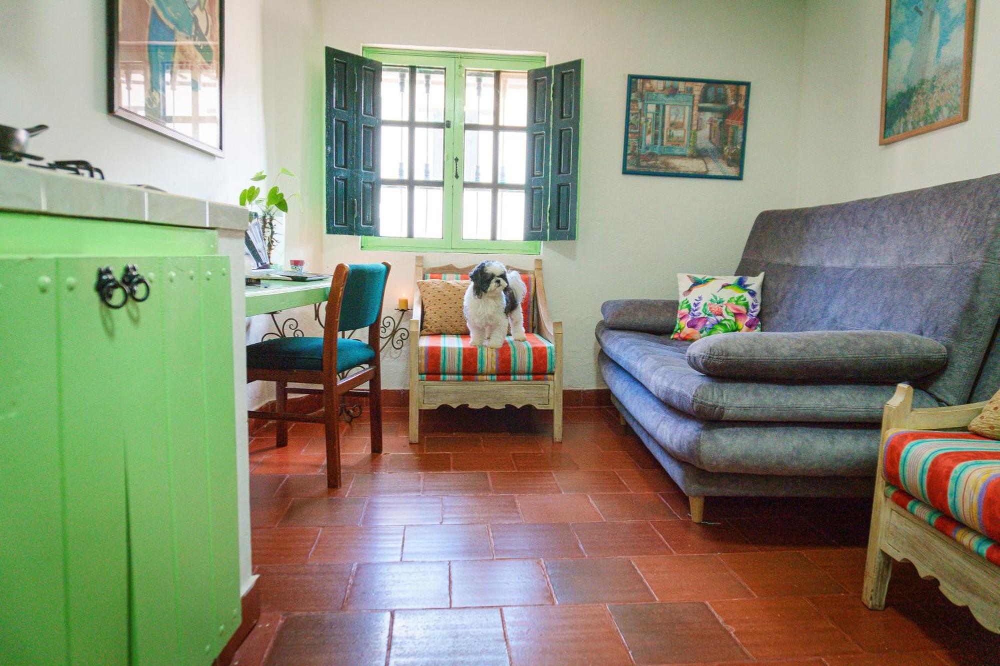 Apartamentos Y Habitaciones Le Colibri - Villa De Leyva Εξωτερικό φωτογραφία